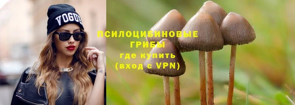 соль ск Сафоново