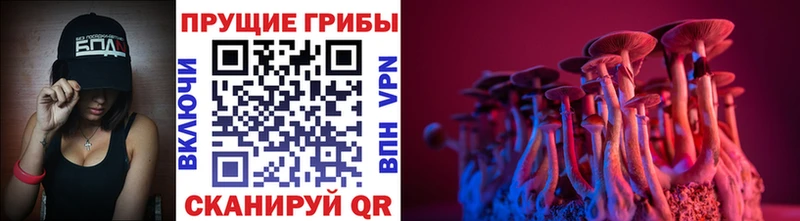 Галлюциногенные грибы мухоморы  Балей 